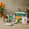 Secret Santa Marigold Magic Grow Kit