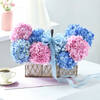 Gift Serene Hydrangea Basket