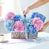 Buy Serene Hydrangea Basket