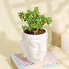 Gift Serene Jade Plant in a  Buddha Planter