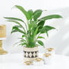 Serene Peace Lily With Metal Diyas Diwali Gift Set Online