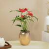 Serene Red Anthurium Plant In Rose Gold Vase