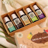 Serenity Scents Mother's Day Fragrance Oil - Set Of 5