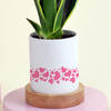 Buy Snake Superba Plant with Personalized Vase