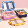 Spill-Proof 2 Grid Lunch Box - Assorted - Single Piece Online