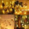 Buy String Lights - Photoclips