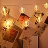 String Lights - Photoclips - Heart - 3m Online