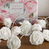 Buy String Lights - Rose - Warm White - Big Rose - 2m