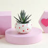 Gift Succulent Love ( set of 2 planters)