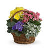 Summer Floral Basket