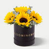 Sunflower Box Small Online