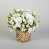 Sympathy Rose Basket Online