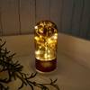 Gift Table Lamp With Fairy Lights - Dome - Rainbow - Single Piece