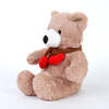 Buy Teddy and Roses Gift Combo