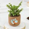 Gift Terracotta Jade Christmas Planter