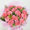 Buy The Carnation Everglow Bouquet