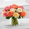 The Sundance Rose Arrangement by FTD Online