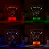 Shop Together Forever Personalized LED Lamp