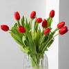 Buy Tulip Moments Of Love - 10 Red Tulips Flower Bunch