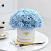 Gift UAE National Day Hydrangea Harmony