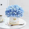 Buy UAE National Day Hydrangea Harmony