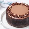 Shop Velvet Hazelnut Cake