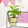 Buy Women's Day Personalized Boss Babe Metal Swing Planter