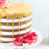 Shop Womens Day Rose And Chocolate Cake (Half Kg)