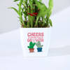 Gift Year Of Growth 2-Layer Bamboo Plant