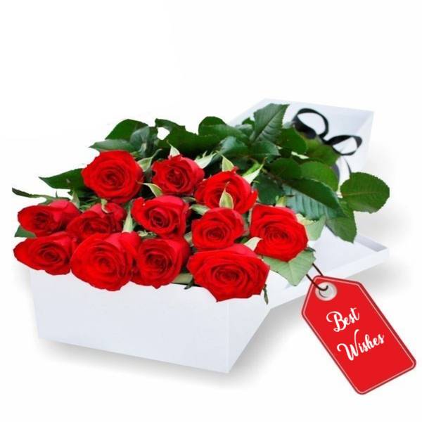 12 Luxury Red Roses for Valentine's Day
