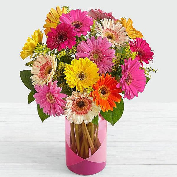 12 Mixed Gerbera