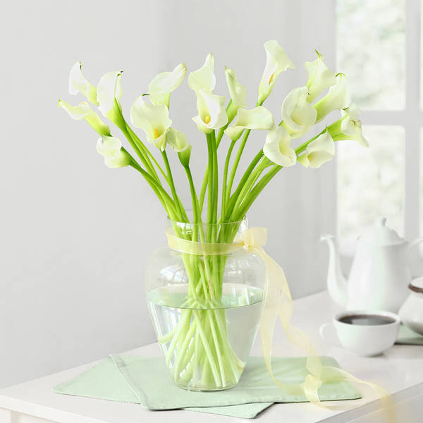 20 White Calla Lilies in Glass Vase