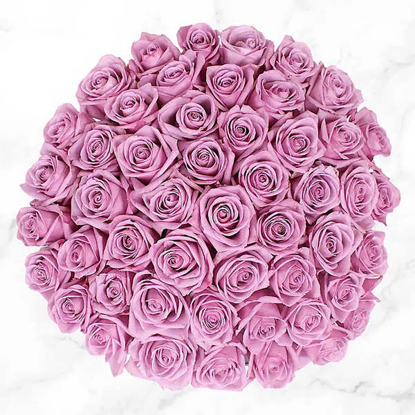 50 Stem Mauve Roses