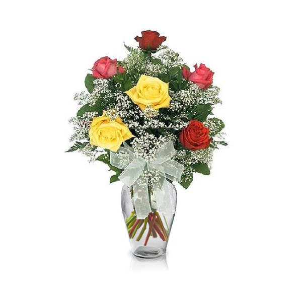 6 Mixed Roses