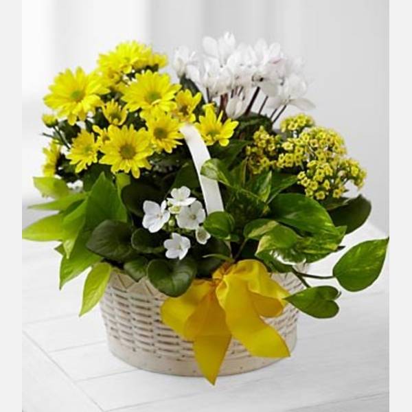 A Bit of Sunshine Basket by FTD