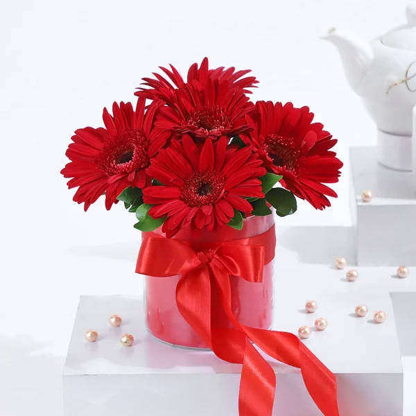 Beautiful Assorted Gerberas