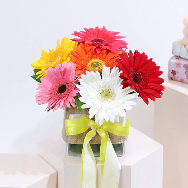 Beautiful Assorted Gerberas