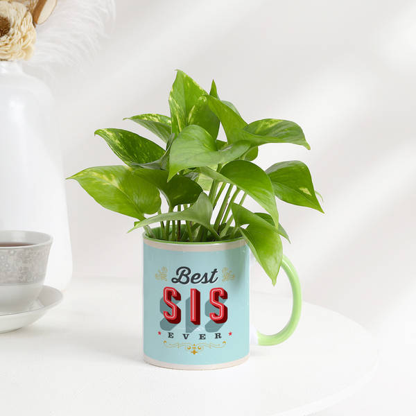 Best Sis Ever Money Plant With Mug Planter