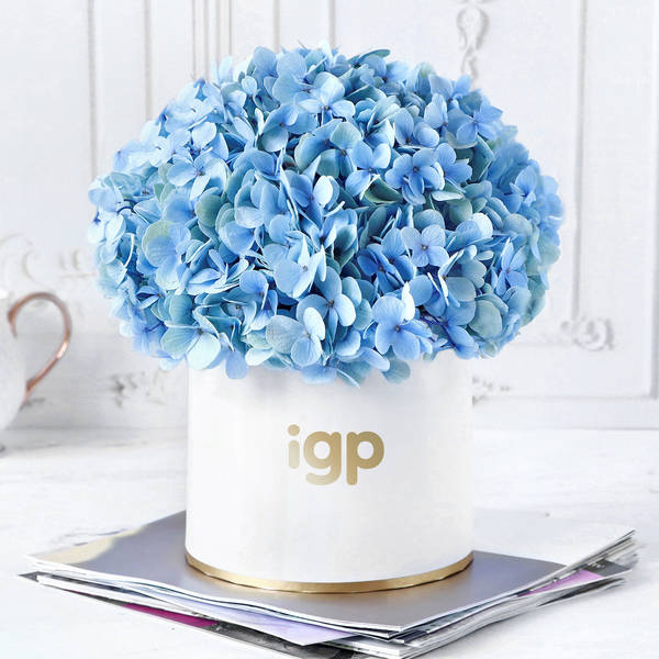 Blue Beauty Flower Box