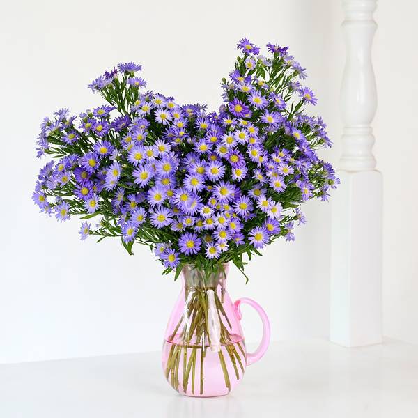 Blue Daisy Flower Arrangement