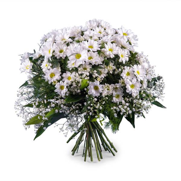 Bouquet of White Margaritte Daisies