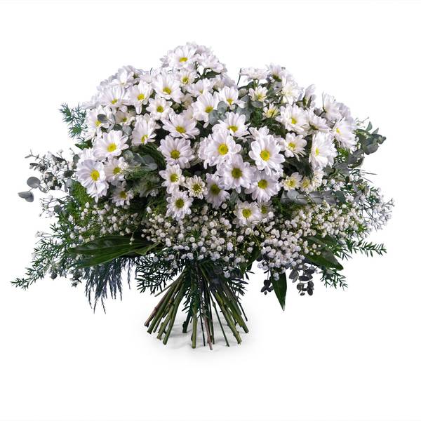 Bouquet of White Margaritte Daisies