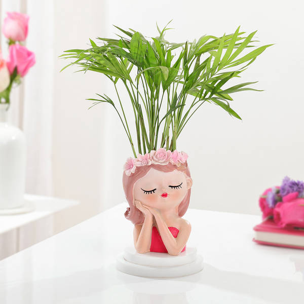 Chamaedorea Plant With Beauty Planter