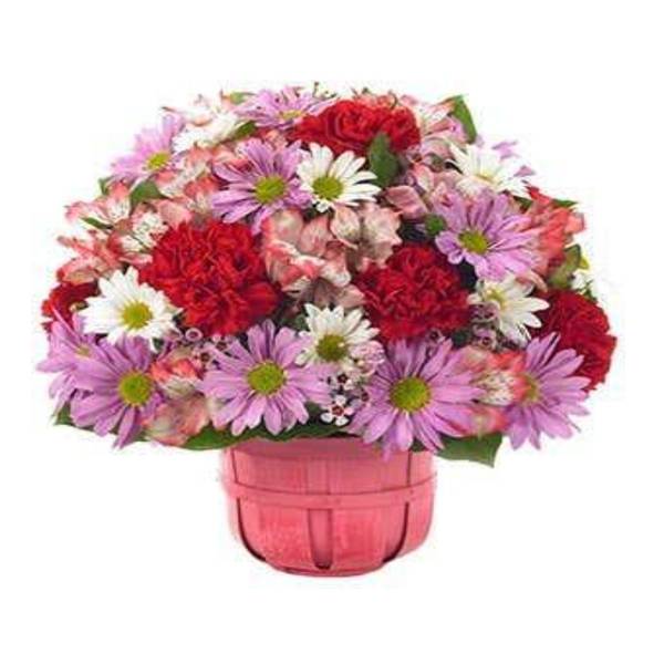 Charming Carnations And Daisies Valentine's Day Arrangement