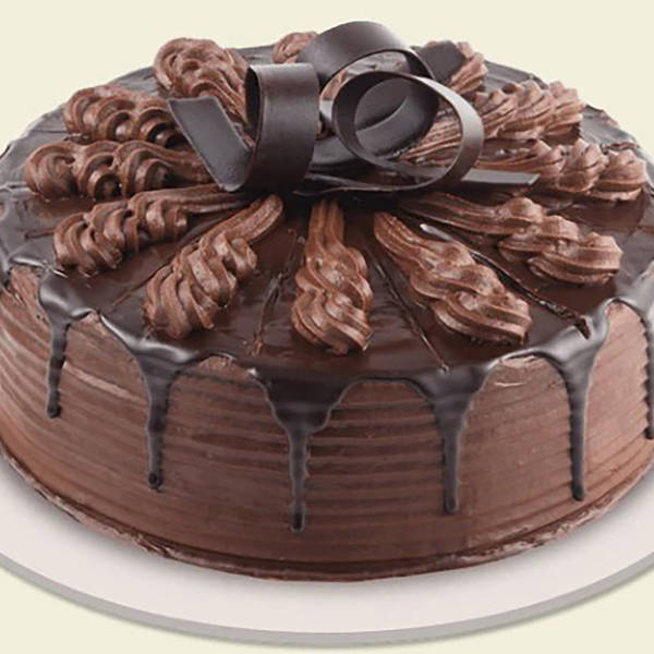 Chocolate Indulgence