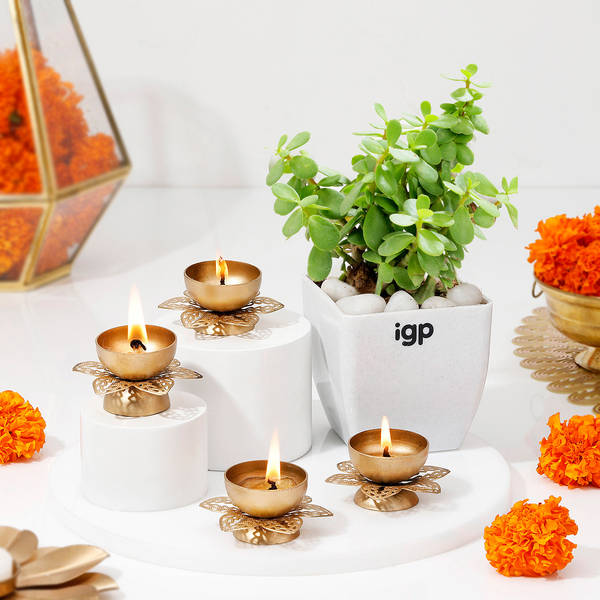 Composed Glow Diwali Combo