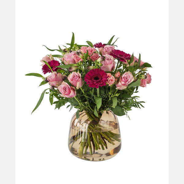 Congratulation 910523