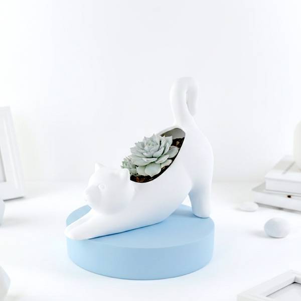 Cute Ceramic Cat Planter With Blue Bird Succulent