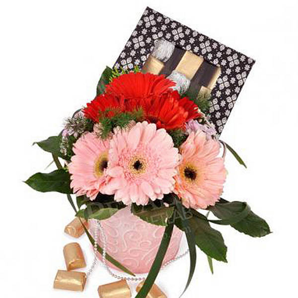 Decadence Gerby - Chocolate Praline with Gerberas Flower Gift