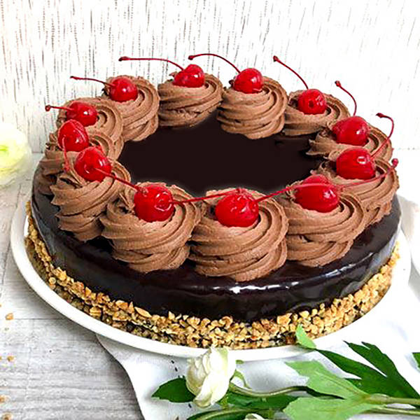 Double Chocolate Cheesecake
